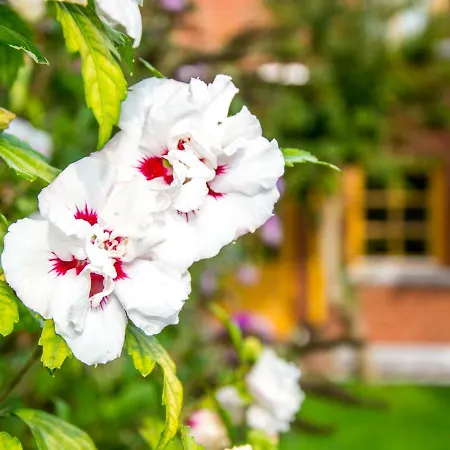Haus Am Dorfteich Fehmarn * Dänschendorf