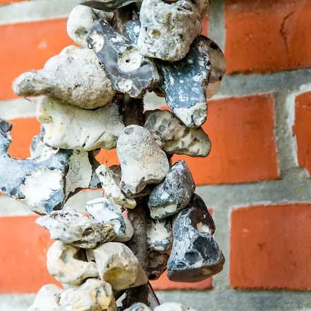 Haus Am Dorfteich Fehmarn *