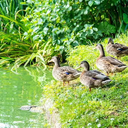 Haus Am Dorfteich Fehmarn アパート *