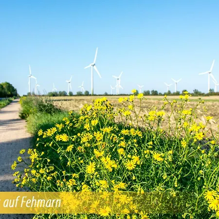 Haus Am Dorfteich Fehmarn アパート