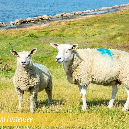 Haus Am Dorfteich Fehmarn