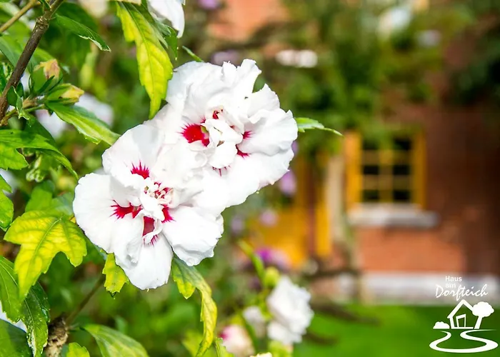 Haus Am Dorfteich Fehmarn * Dänschendorf