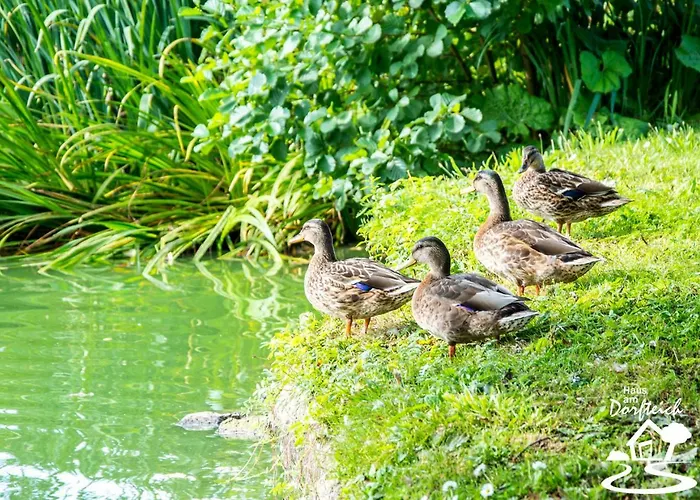 Haus Am Dorfteich Fehmarn 公寓 *