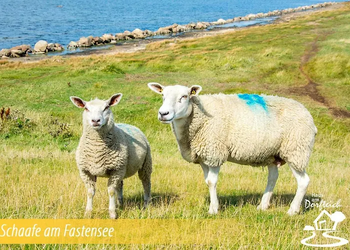 Haus Am Dorfteich Fehmarn