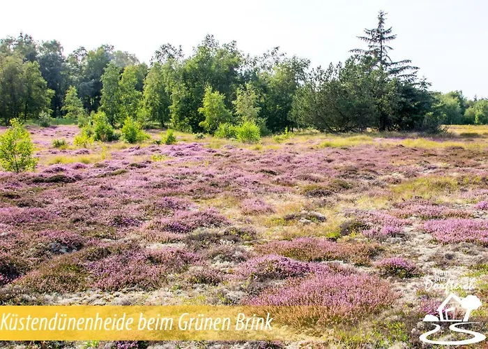 Haus Am Dorfteich Fehmarn Dänschendorf